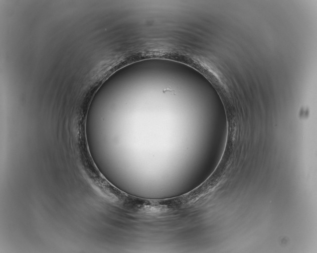 X0000090760455200708101751