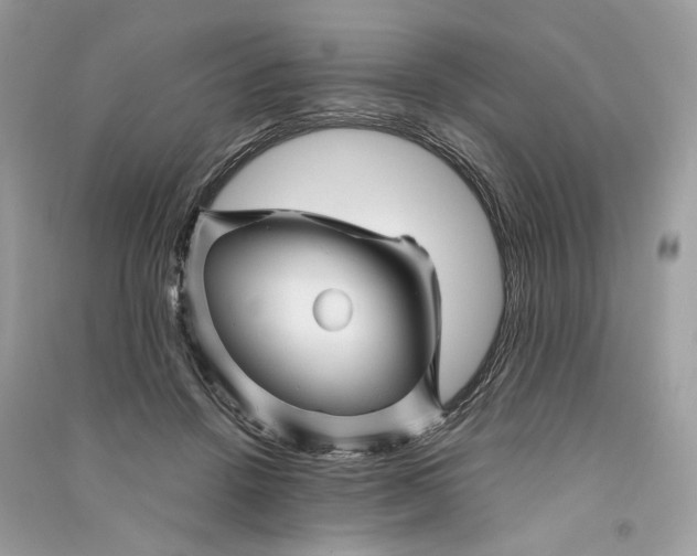 X0000090760456200708101751