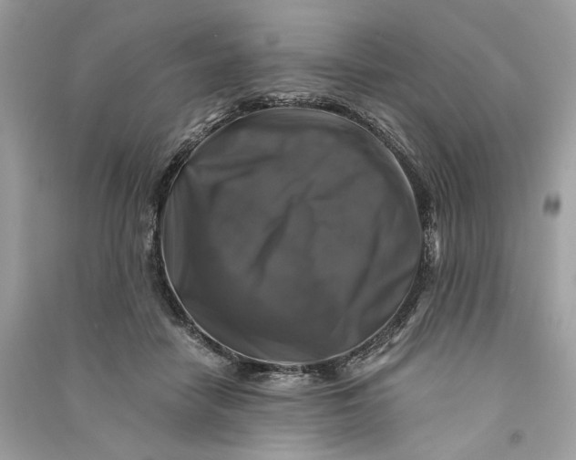 X0000090760458200708101751