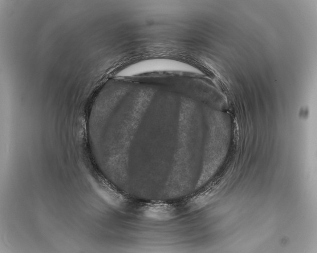 X0000090760459200708101751