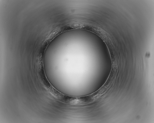 X0000090760460200708101751