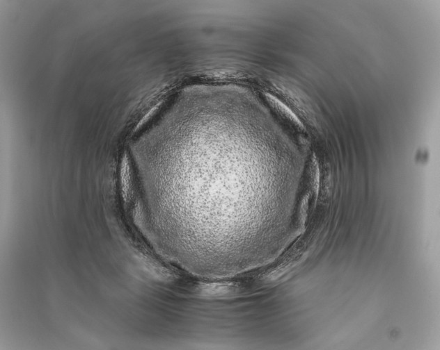 X0000090760461200708101751