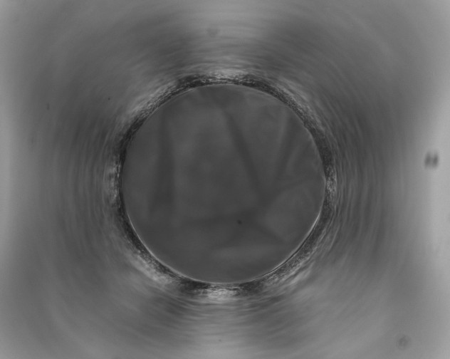 X0000090760462200708101751