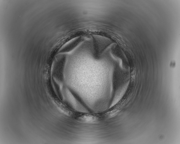 X0000090760464200708101751