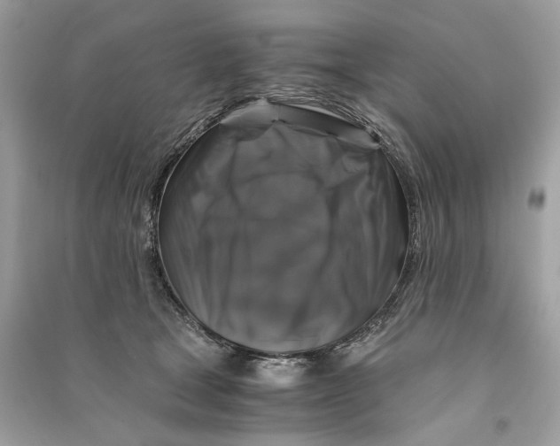 X0000090760465200708101751