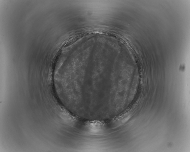 X0000090760466200708101751