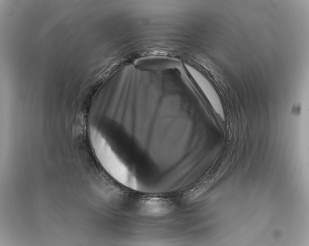 X0000090760467200708101751