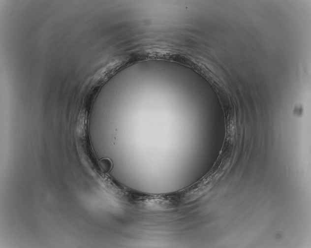 X0000090760468200708101751