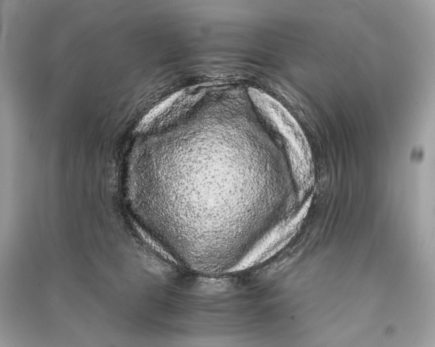 X0000090760469200708101751