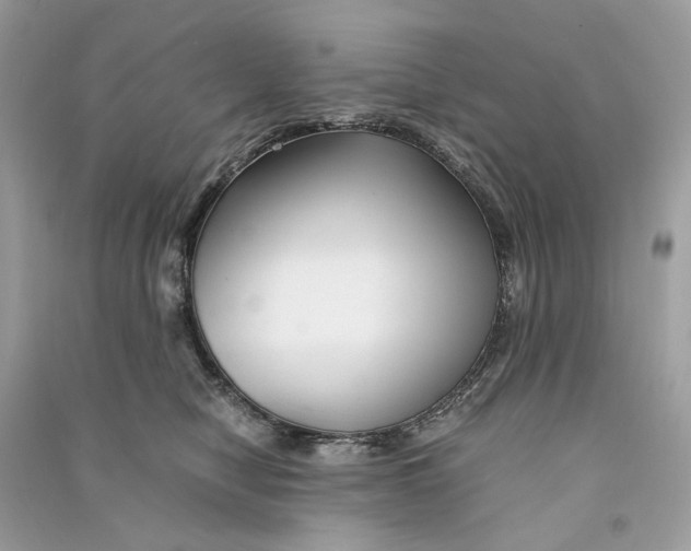 X0000090760470200708101751