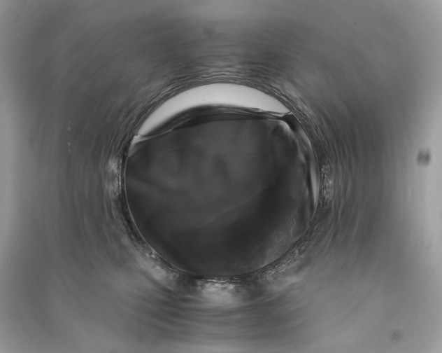 X0000090760471200708101751