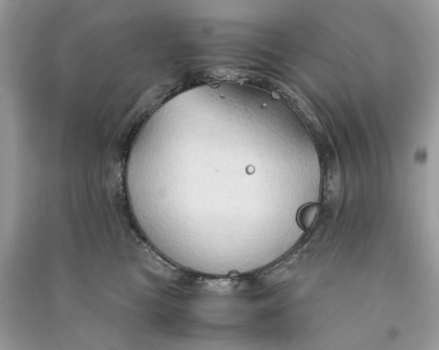 X0000090760473200708101751