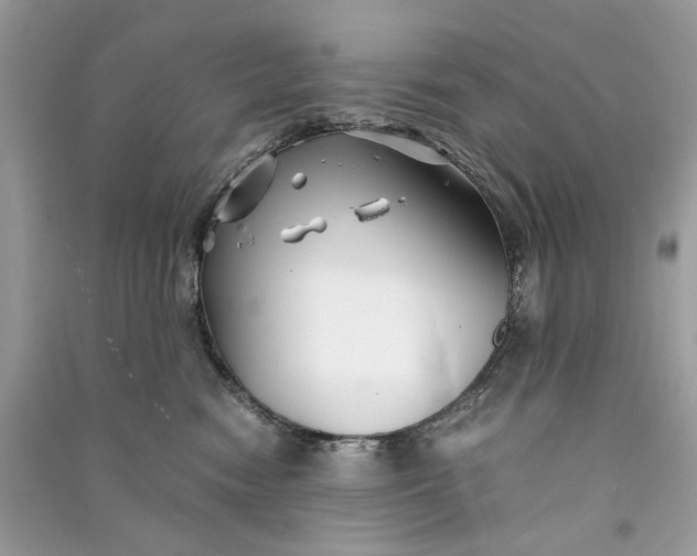 X0000090760474200708101751