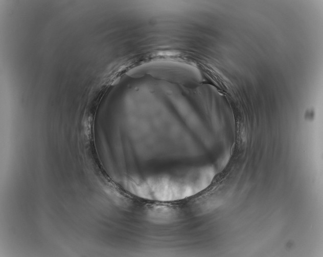 X0000090760475200708101751