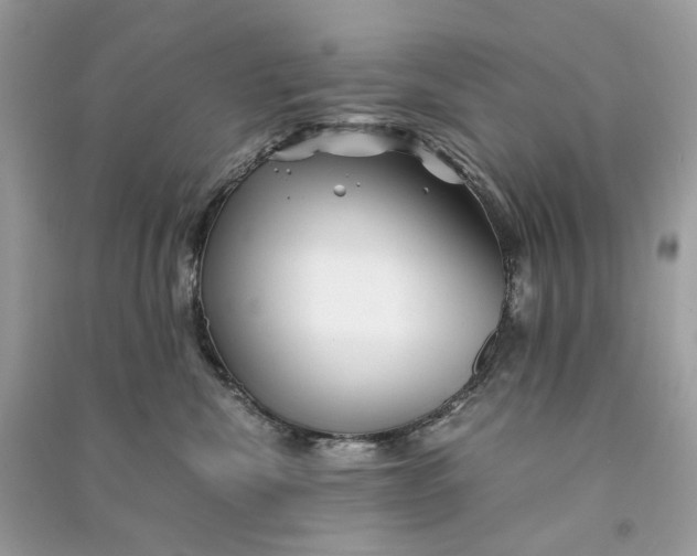 X0000090760476200708101751