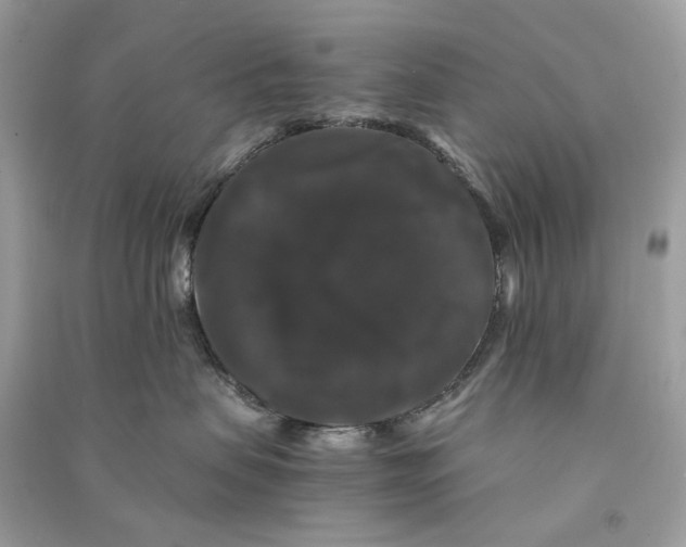 X0000090760479200708101752