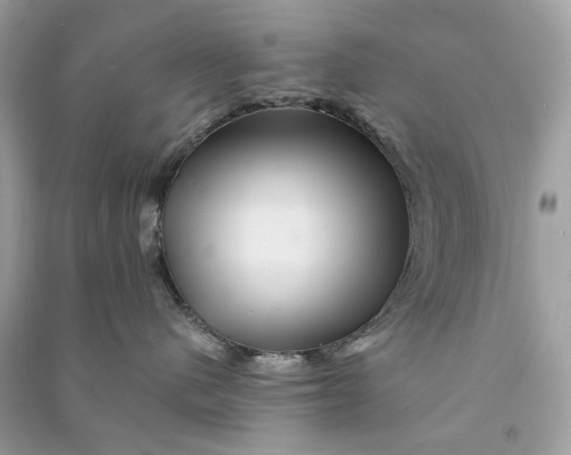 X0000090760480200708101752