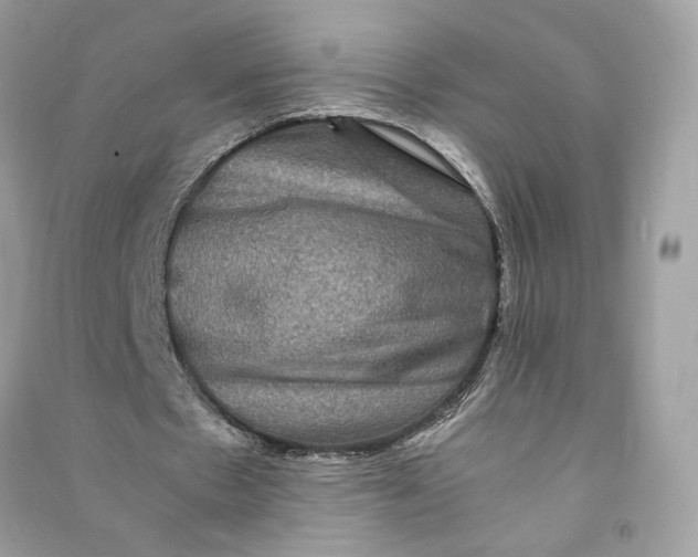 X0000090760481200708101751