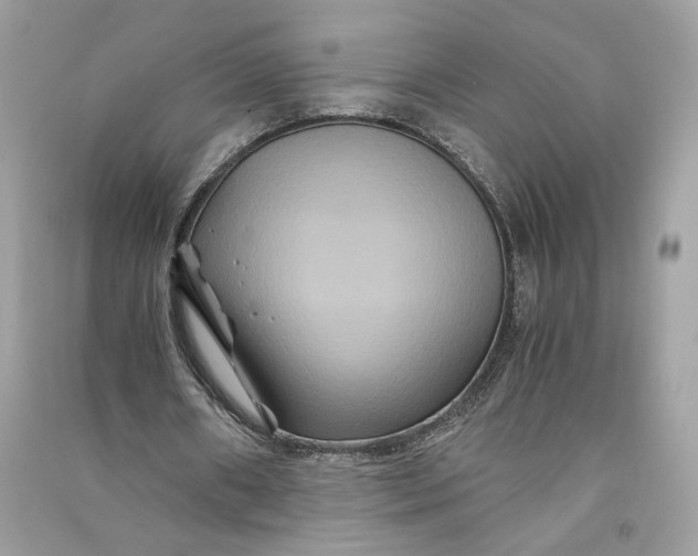 X0000090760482200708101751