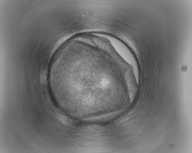 X0000090760483200708101751