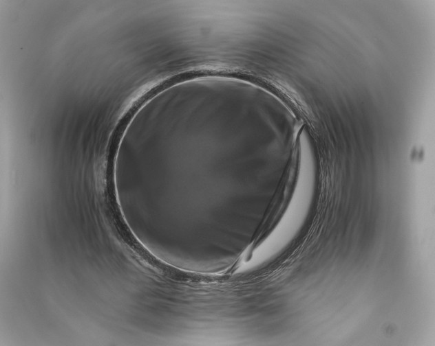 X0000090760484200708101751