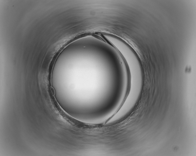 X0000090760485200708101751