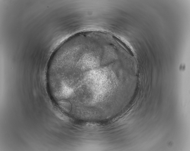 X0000090760487200708101751