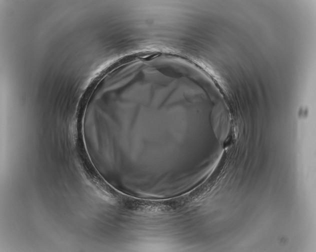 X0000090760488200708101751