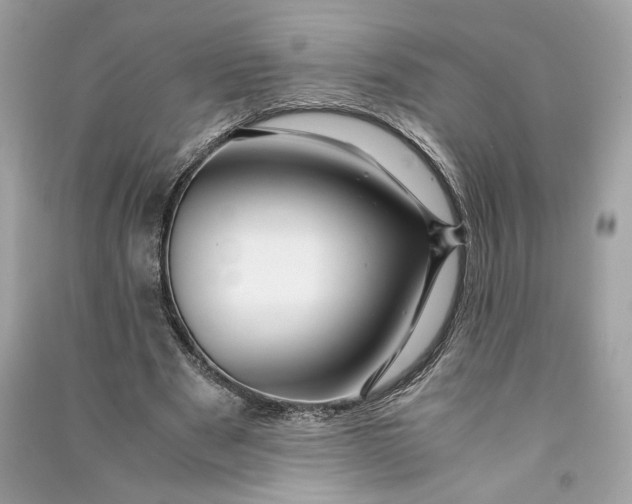 X0000090760489200708101751