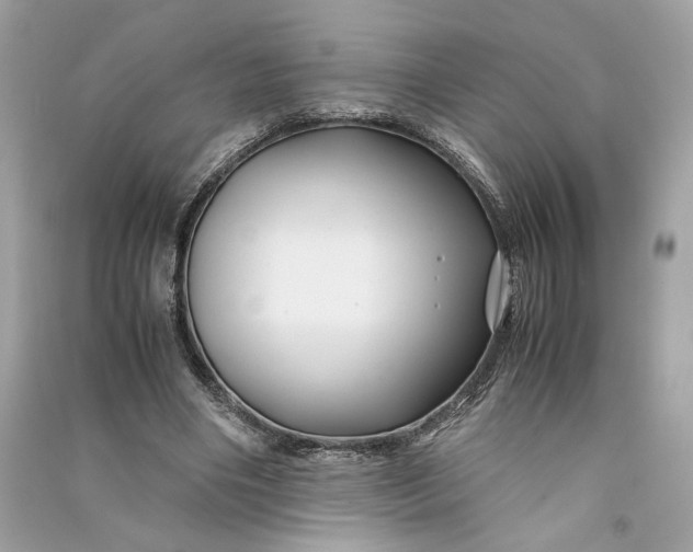 X0000090760490200708101751