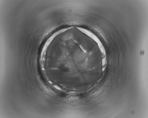 X0000090760491200708101751