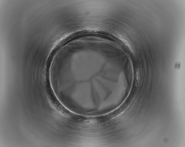 X0000090760492200708101751