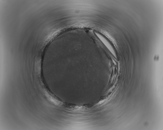 X0000090760493200708101751