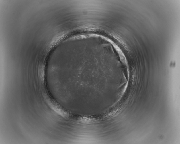 X0000090760494200708101751