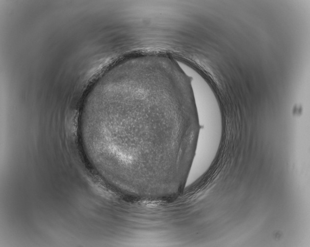 X0000090760495200708101751