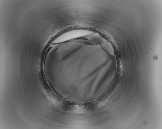 X0000090760496200708101751