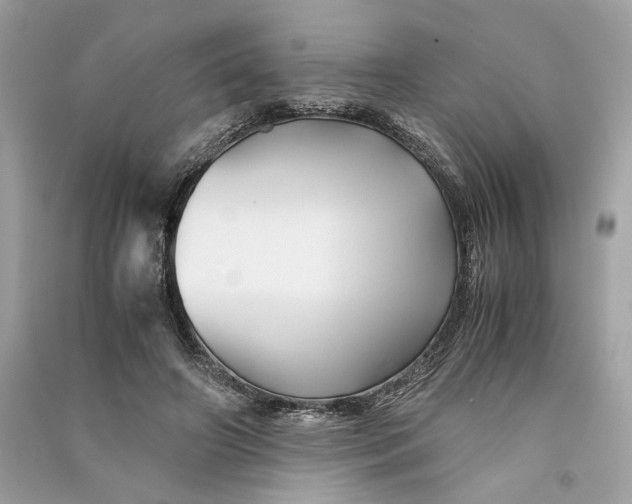 X0000090760498200708101751