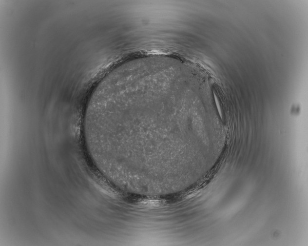 X0000090760499200708101751