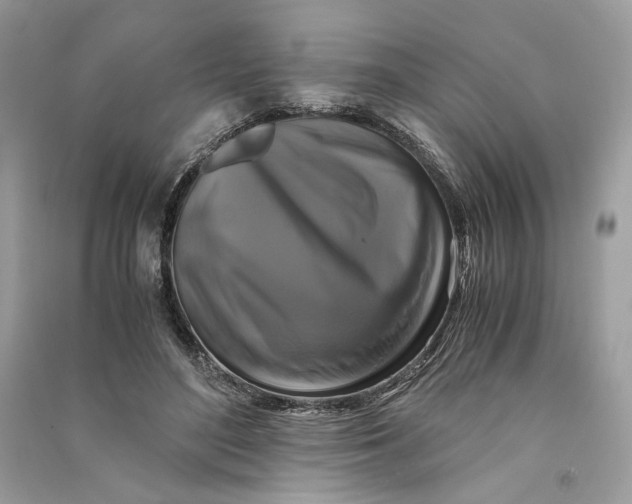 X0000090760500200708101751