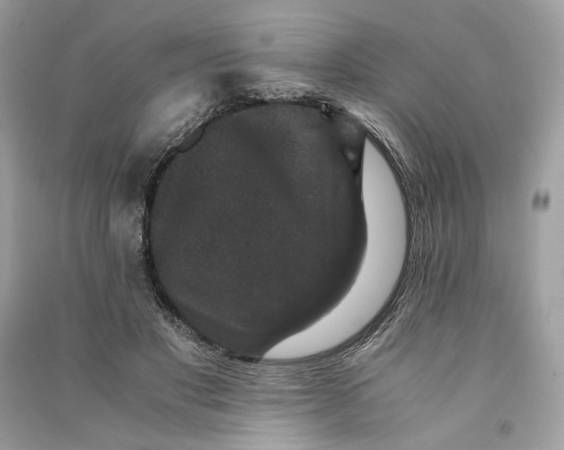 X0000090760501200708101751