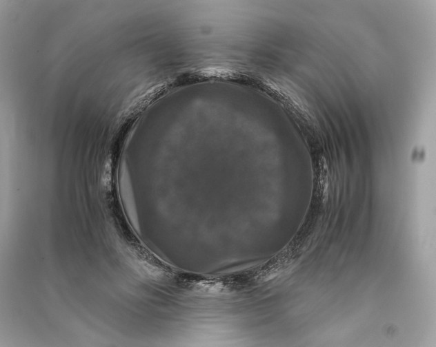 X0000090760502200708101751