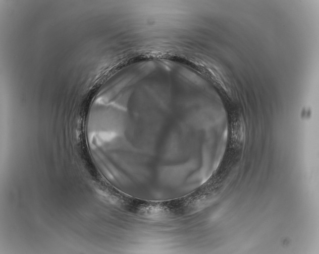 X0000090760503200708101751