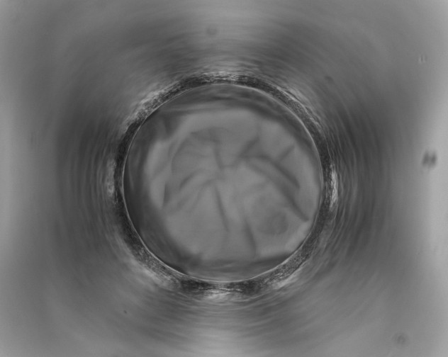 X0000090760504200708101751