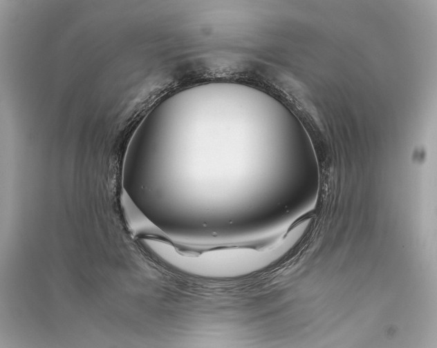 X0000090760505200708101751