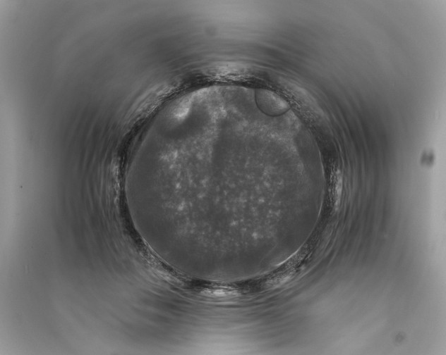 X0000090760506200708101751