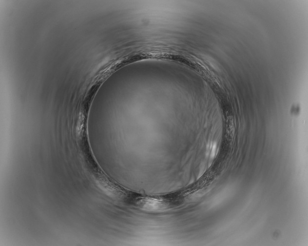 X0000090760507200708101751