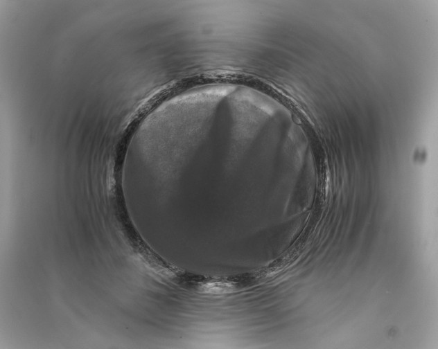 X0000090760508200708101751