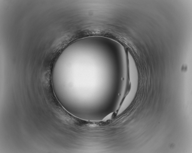 X0000090760509200708101751