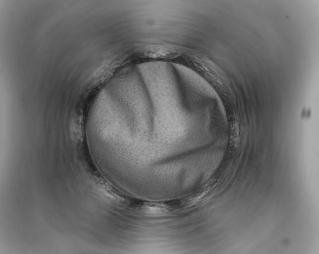 X0000090760510200708101750