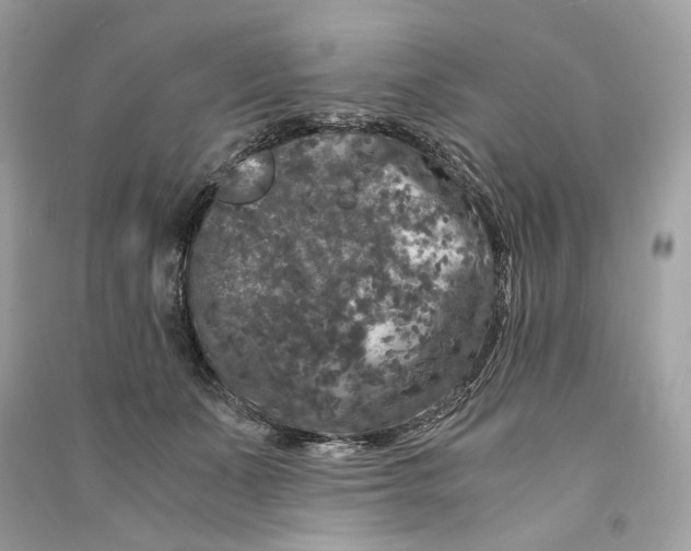 X0000090760511200708101750